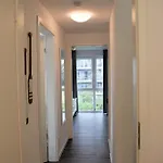 53 Deichgraf *